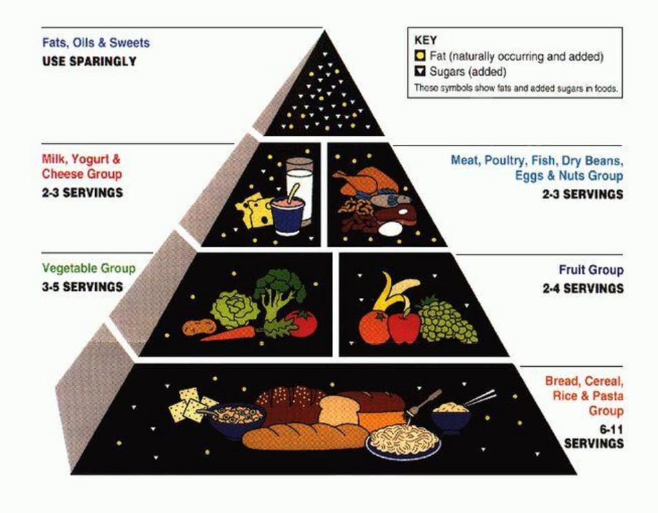 The USDA's original food pyramid was developed in 1992. 