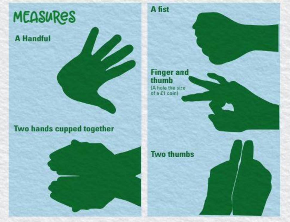 The British Nutrition Foundation uses hands to help show portion sizes.