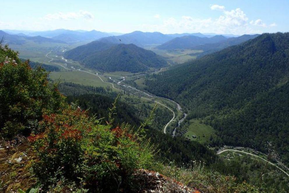 View up the Anui River valley in southern Siberia, Russia where Denisova Cave is located.