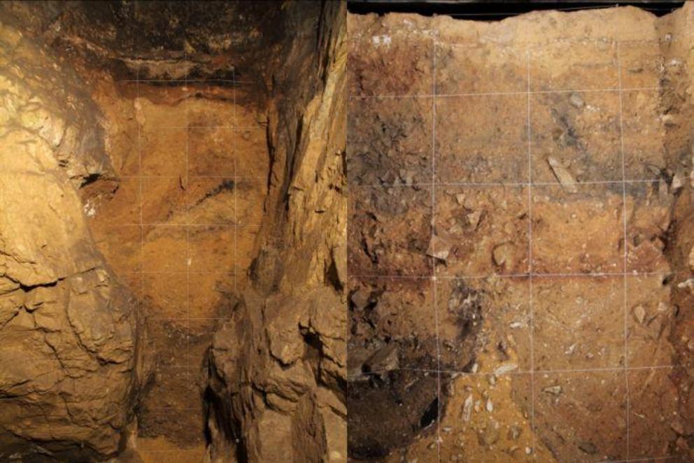 Sediment profiles of Denisova Cave's East Chamber (left) and Main Chamber (right).