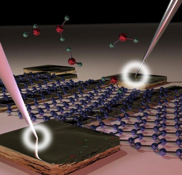 Schematic of a graphene device with a contact resistance that is not altered by the water molecules adsorbed on its surface.  Credit: Anderson D. Smith