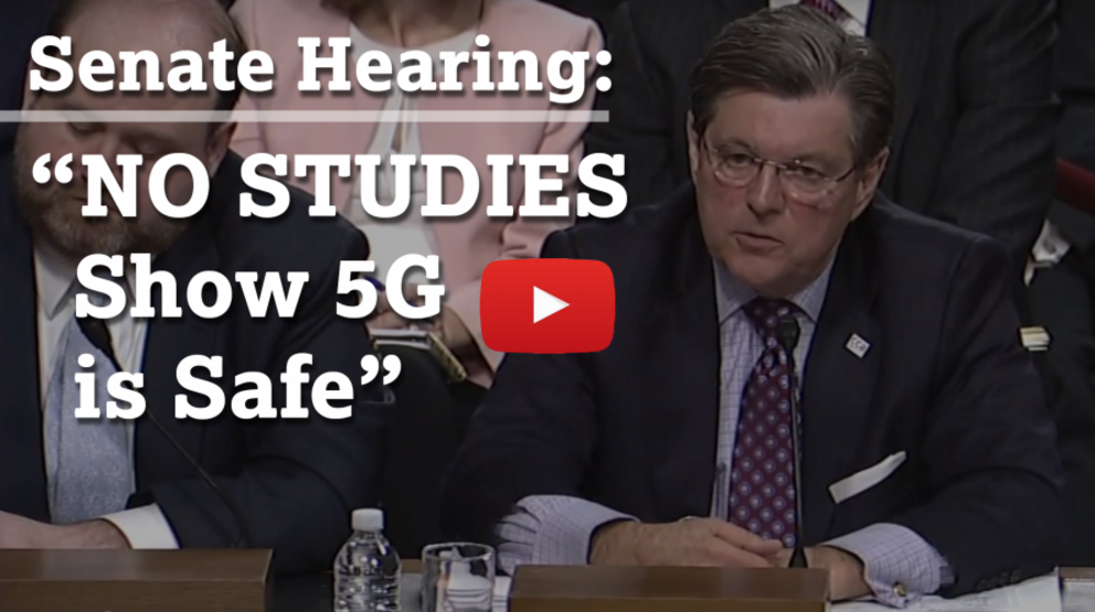 Wireless Industry confesses: "no studies show 5G is safe" - Nexus Newsfeed