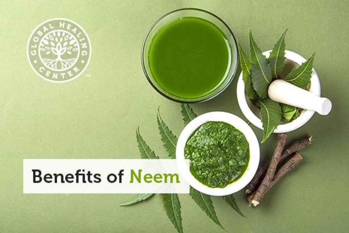 Neem oil & leaves impressive health benefits and uses Nexus Newsfeed