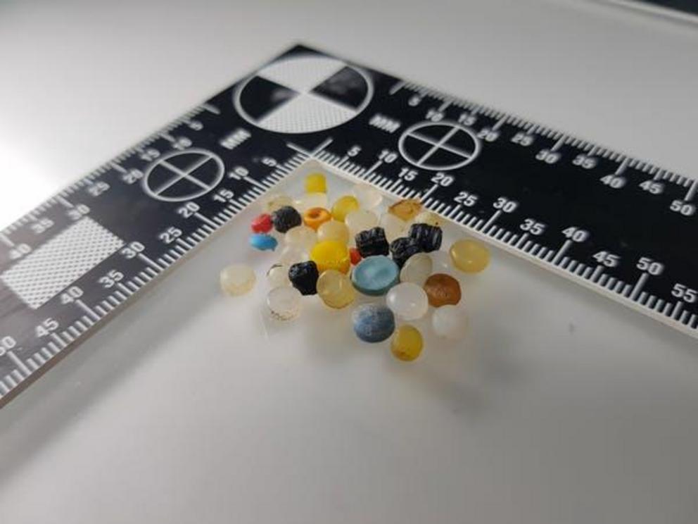 Nurdles – colourful, ubiquitous and deadly for wildlife.