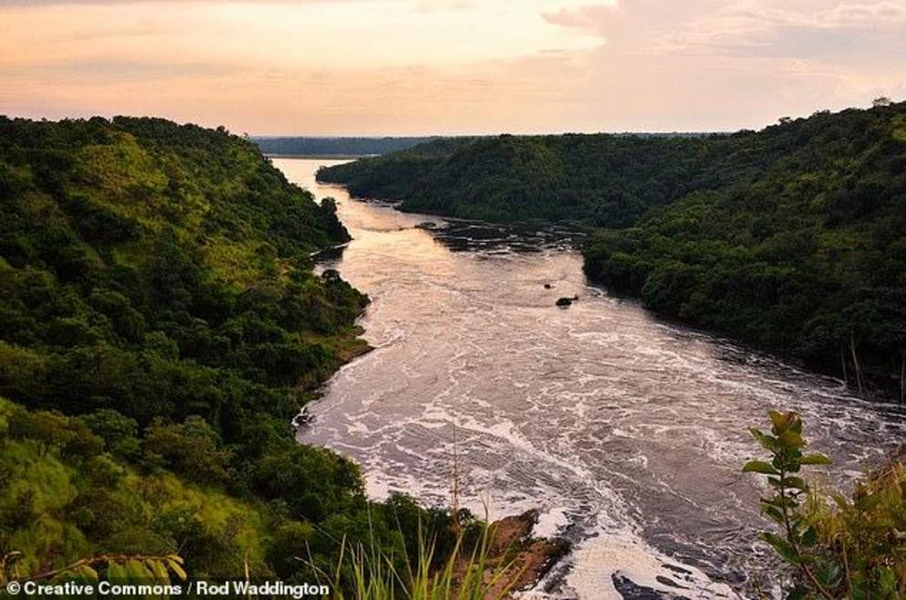 From analyses of rocks along the river and simulations, experts determined that the river's northward flow has been maintained by movements in the Earth mantle beneath. Pictured, the Nile as it appears upstream, in Uganda