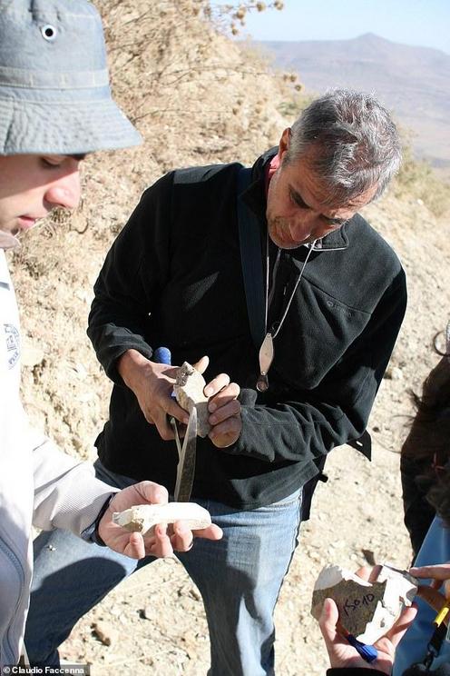  The researchers analysed ancient, volcano-derived rocks in the Ethiopian highlands, matching these to the deposits of sediments carried down the river and ultimately buried under the Nile Delta. Pictured, Professor Faccenna studies rocks along the Nile