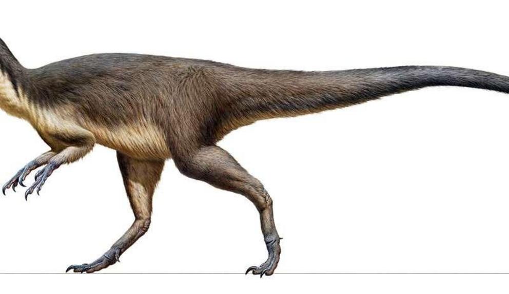 dinosaurs that had feathers