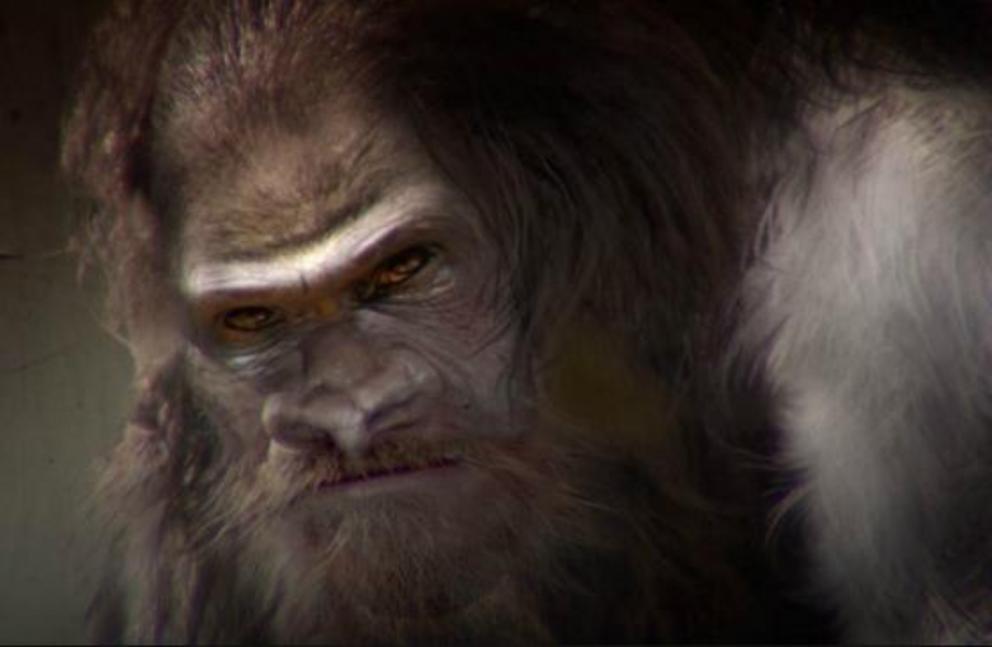 Что означает bigfoot