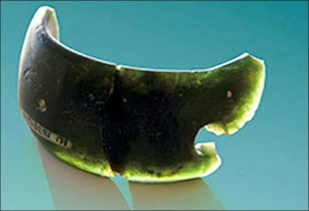The Denisovan Bracelet made of chloritolite and found in the Denisova Cave.