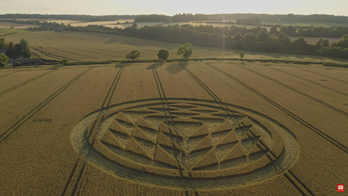 Crop Circle Ghost Grows Vivid Green In Harvested Autumn Field In