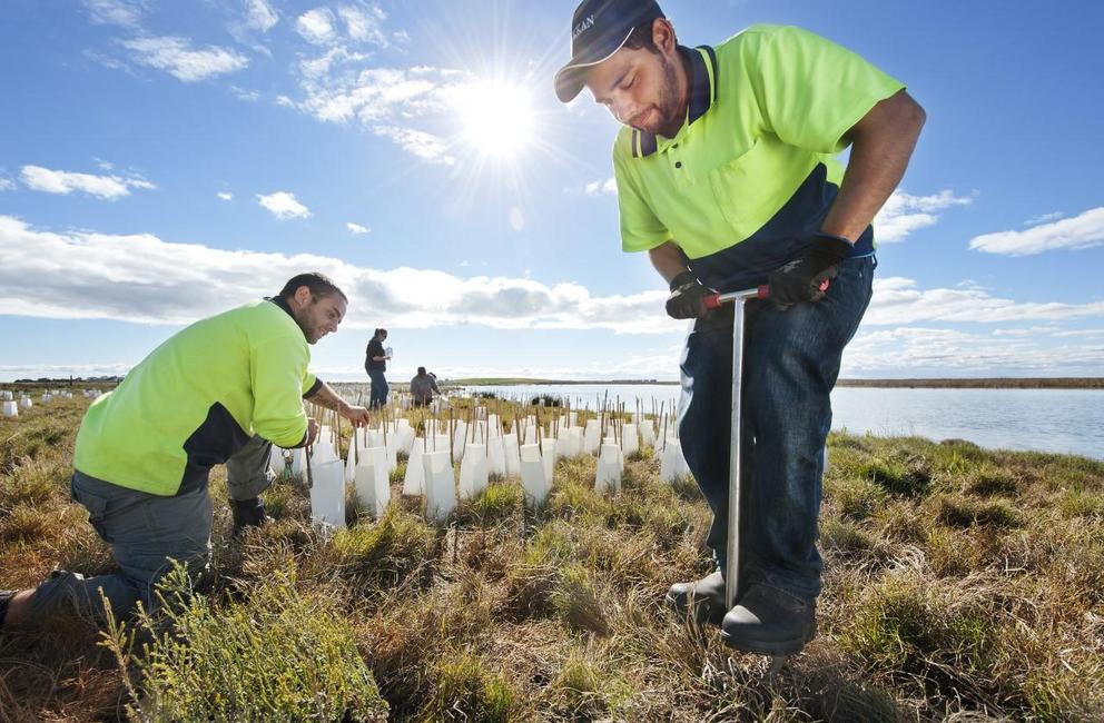 Ngarrindjeri people caring for Country – supplied by the © Department for Environment and Water.