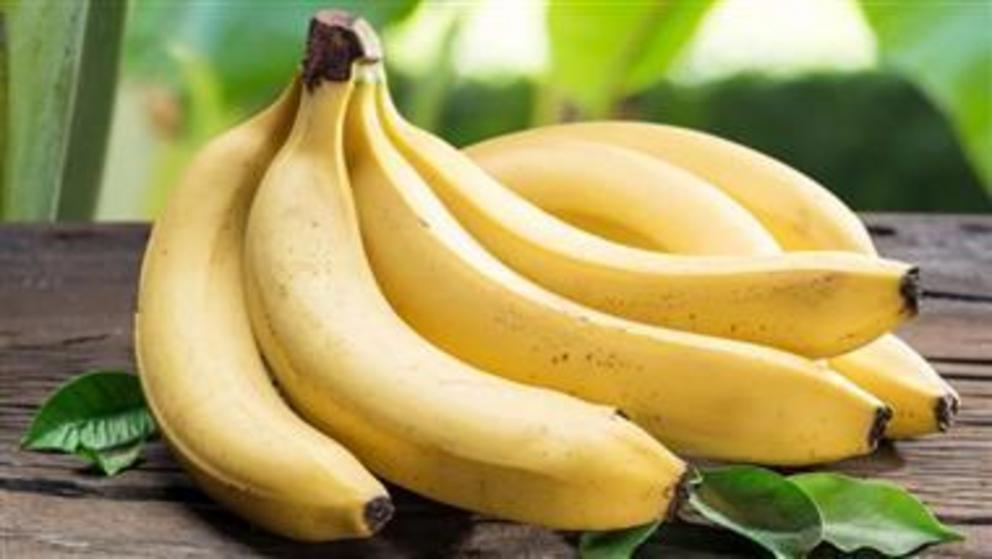 Will bananas go extinct? Nexus Newsfeed