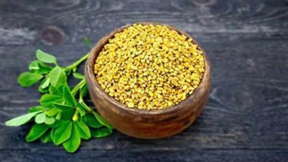 Can fenugreek improve your blood sugar? Nexus Newsfeed