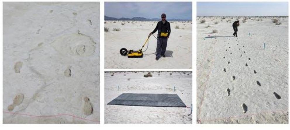 Human footprints from the last Ice Age at White Sands National Monument in New Mexico.