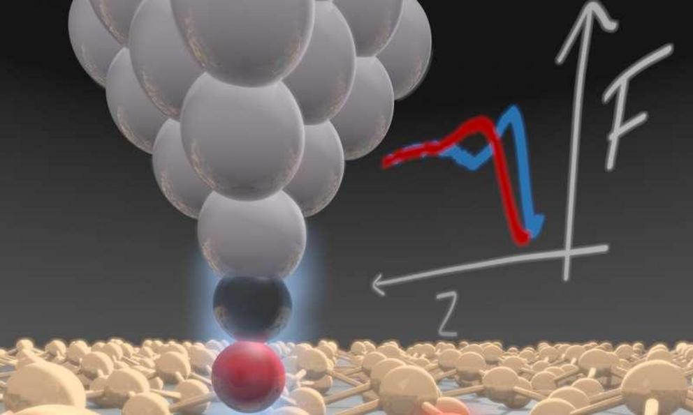 A low-temperature atomic force microscope with a single carbon atom at the tip allows quantitative measurement of forces between sample and tip. With two-dimensional silicon (silicene), surface buckling can be quantitatively determined. Credit: University