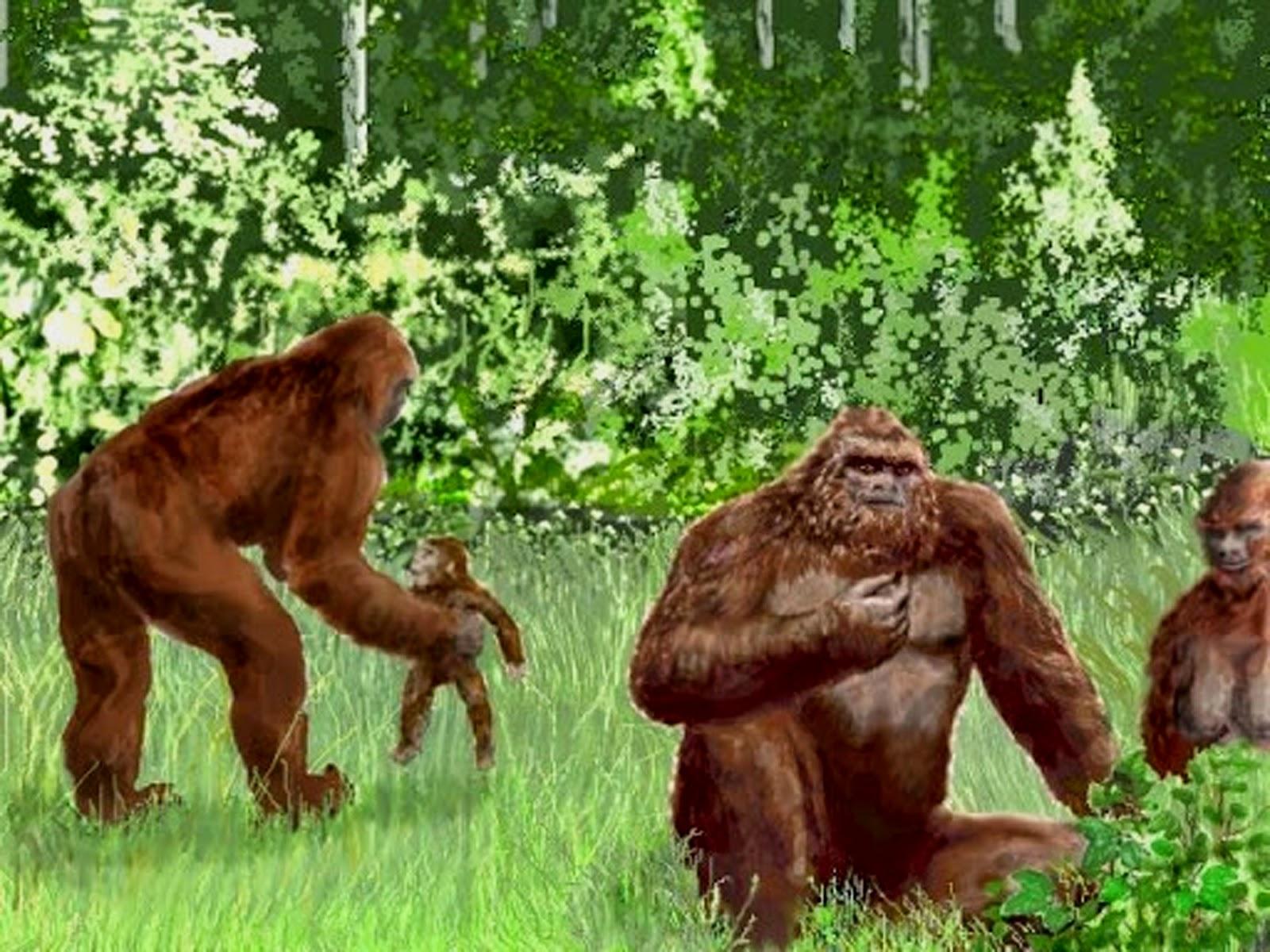 Читы на bigfoot