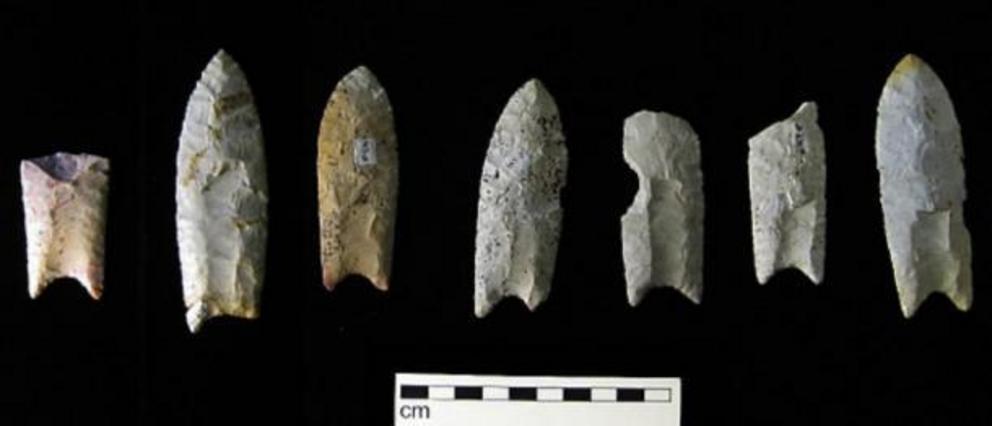 Clovis points from the Rummells-Maske Cache Site, Iowa.