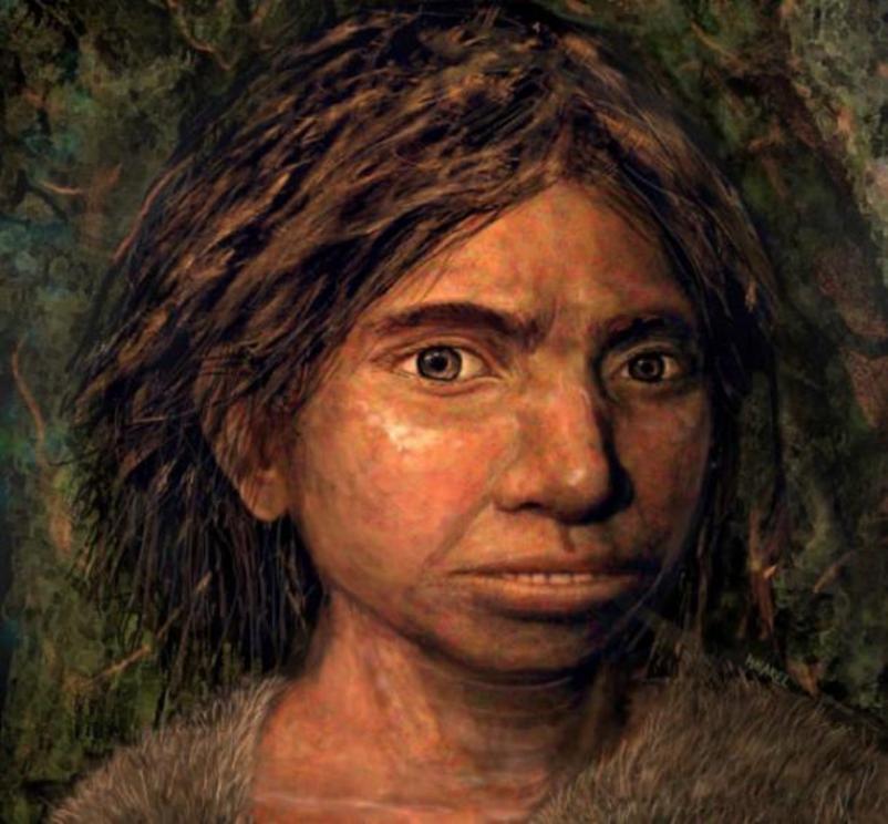 Portrait of a juvenile Denisovan based on a skeletal profile reconstructed from ancient DNA methylation maps.