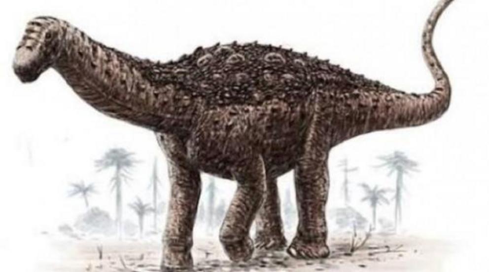 Reconstruction of the titanosaur.