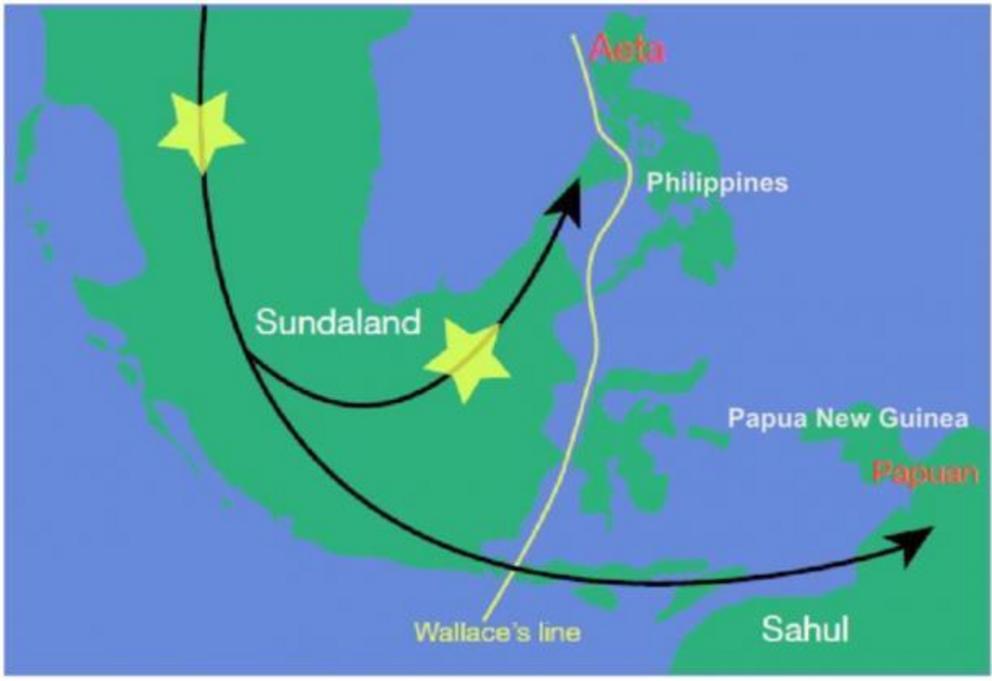 Suggested places of first contact between modern humans and Denisovans in the area of the former Sunda landmass according to Majumder and his colleagues.