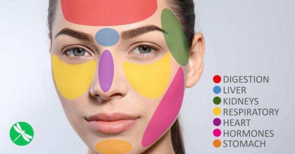 Face mapping: what science says and how it works - Nexus Newsfeed