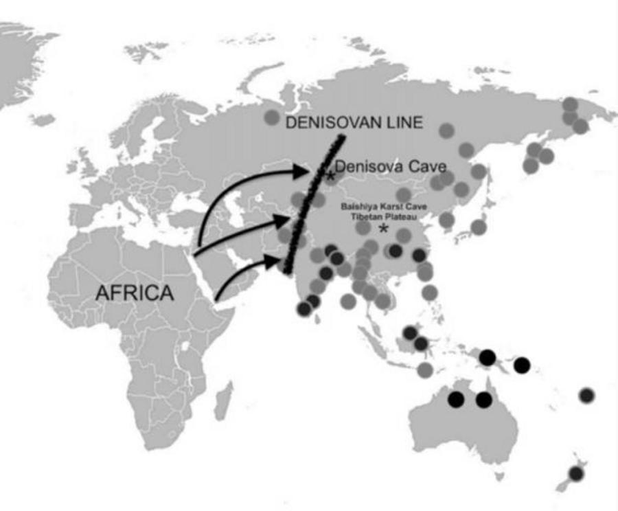 Map showing migrational routes of modern humans out of Africa from around 65,000 years ago onwards. The circles signify the percentages of Denisovan DNA among modern populations (the higher the percentage, the larger the circle), while the north-south div