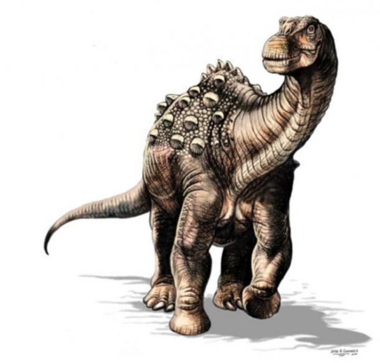 An artistic representation of the Yamanasaurus lojaensis.