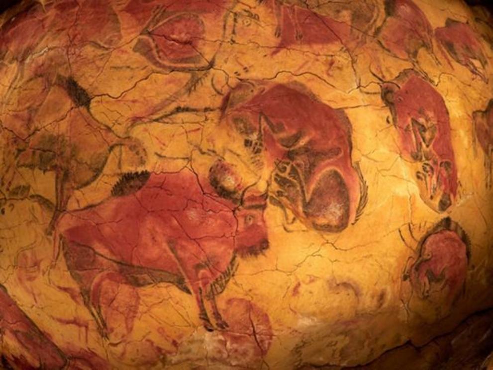 Drawings from the ceiling of Altamira cave in Spain, bison and lions are considered matriarchal.