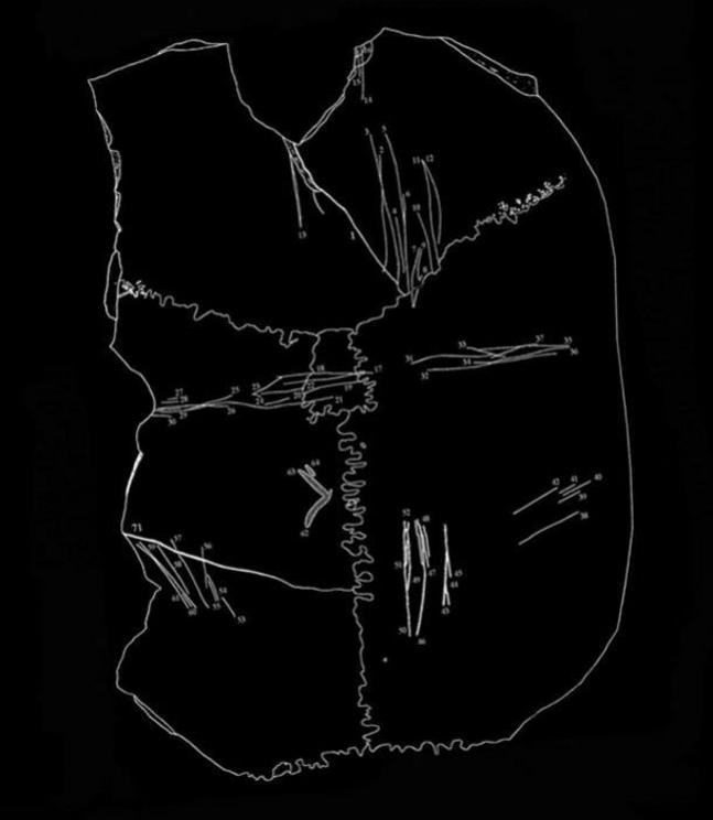 Figure detailing the cut marks on the Neolithic skull cups from Cueva de El Toro, Spain.