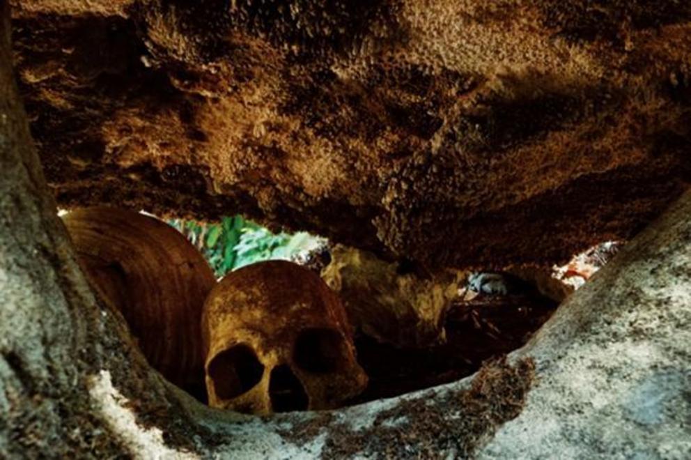 Human remains bones were found along with the skull cups at the site.