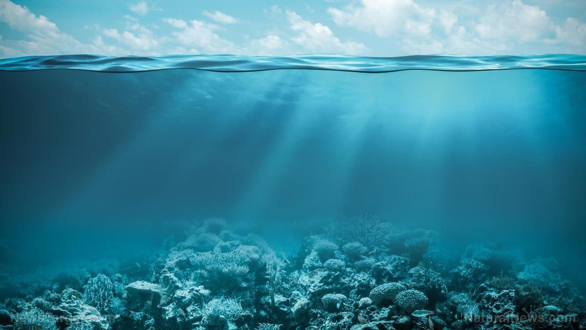 Archaeological discovery finds that ocean levels may have been much ...