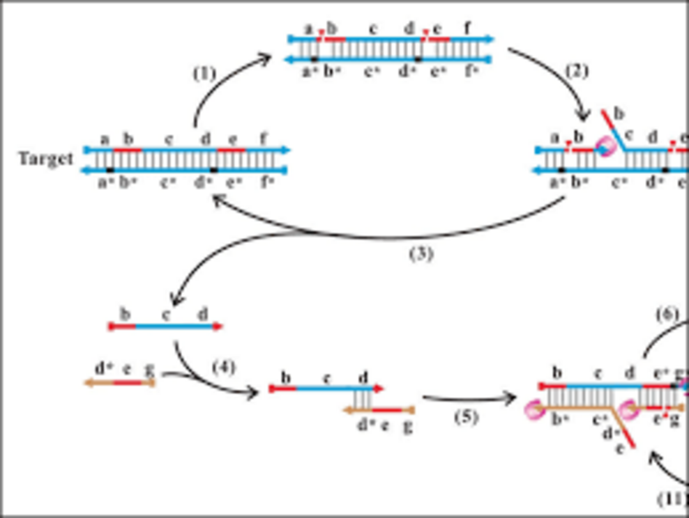 Source / Publisher: Angewandte Chemie International Edition/Wiley-VCH Copyright: Wiley-VCH Verlag GmbH & Co. KGaA 