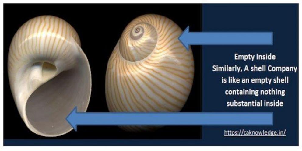 shell company case study