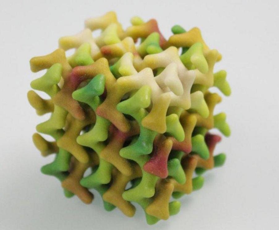 3D model of the lipid mesophase