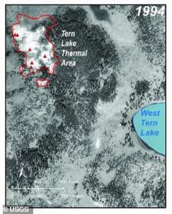 In 1994, the space between Tern Lake Thermal Area and West Tern Lake was covered in trees and vegetation