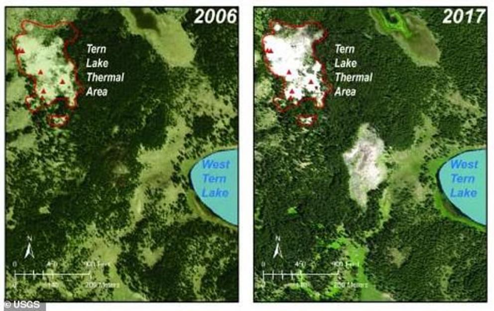 A look through the imagery going back to the 1990s confirmed what they suspected – a growing bright patch in the middle of the forest. by 2006, the beginnings of a ‘tree kill zone’ become to be apparent in the images. Now, the change is unmistakable