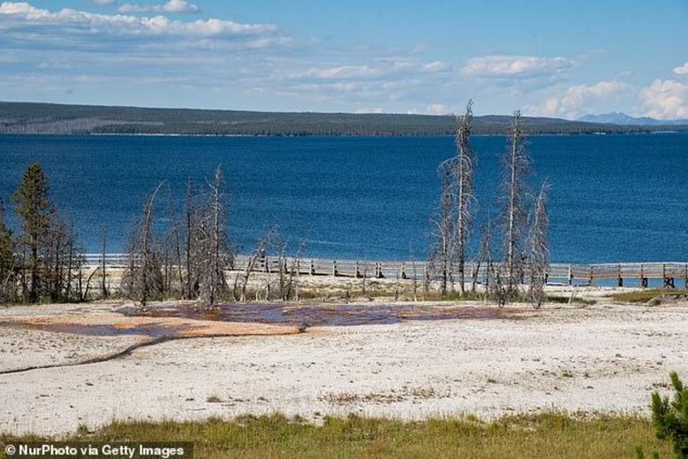 Thermal areas are marked by a 'tree kill zone,' where vegetation is unable to thrive. West Thumb, for example, can be seen above  in Yellowstone National Park 