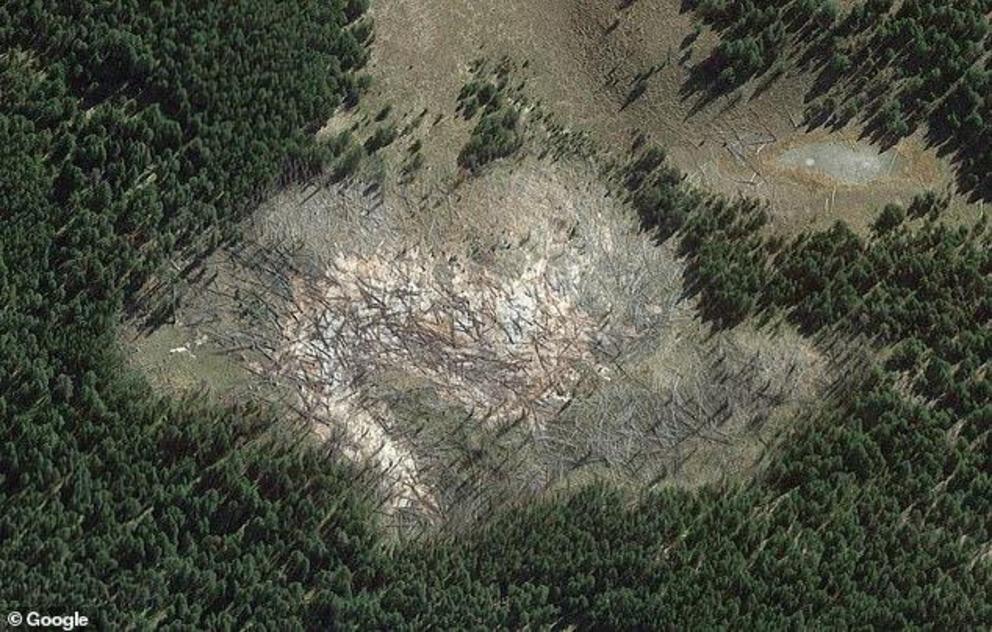 The massive new thermal area is marked by a 'tree kill zone,' seen above, where trees and other vegetation are dying out