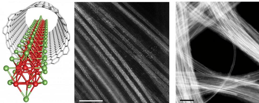 This is a schematic and electron microscopy images of single wires of molybdenum telluride formed inside carbon nanotubes. These 1D reaction vessels are a good fit for the wires, and confine the chemical reactions which create them to one direction. Epita