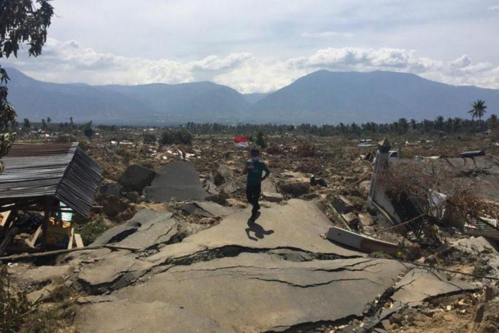 A man holds up the Indonesian flag amid the wreckage from the quake.