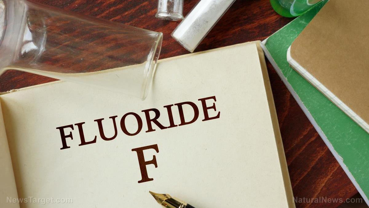 why-does-wikipedia-recommend-fluoride-nexus-newsfeed