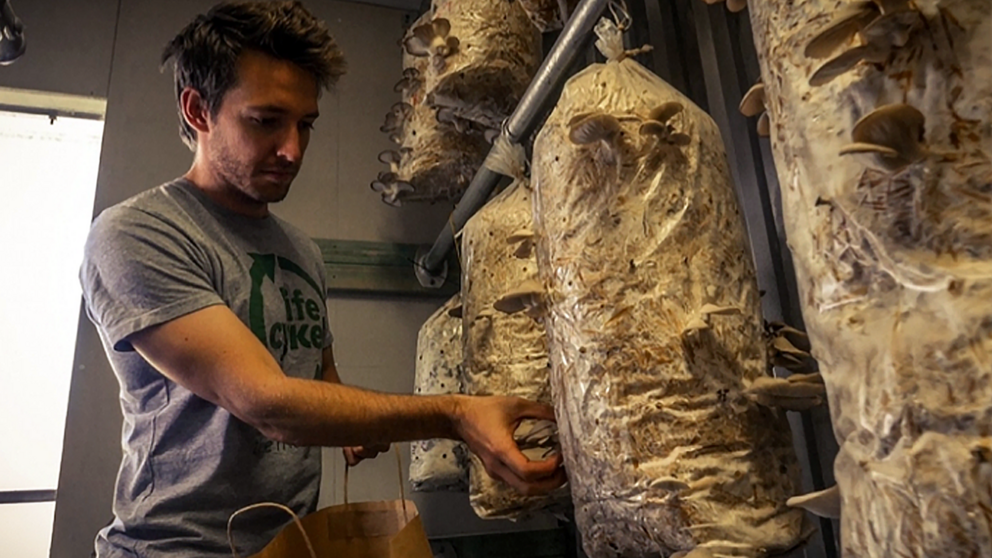 Life Cykel have also invented a “Coffee waste mushroom farm” to help reduce landfill.