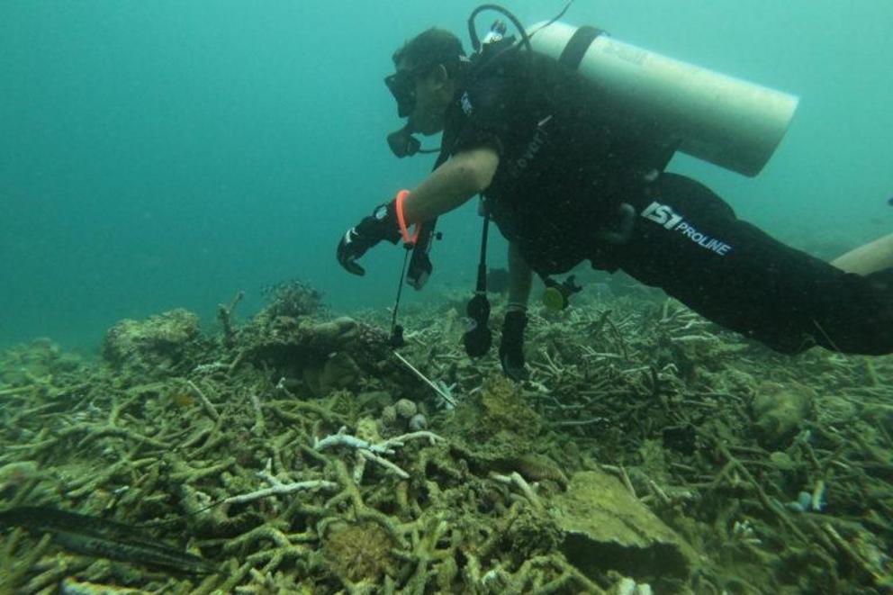 Iksam swims amid the damaged coral months after the quake struck. 