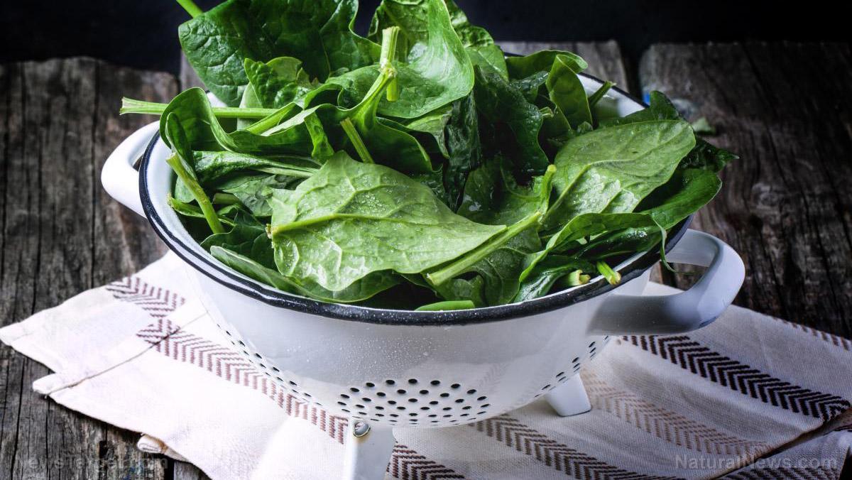 A sugar found in leafy greens promotes gut health, new study concludes ...