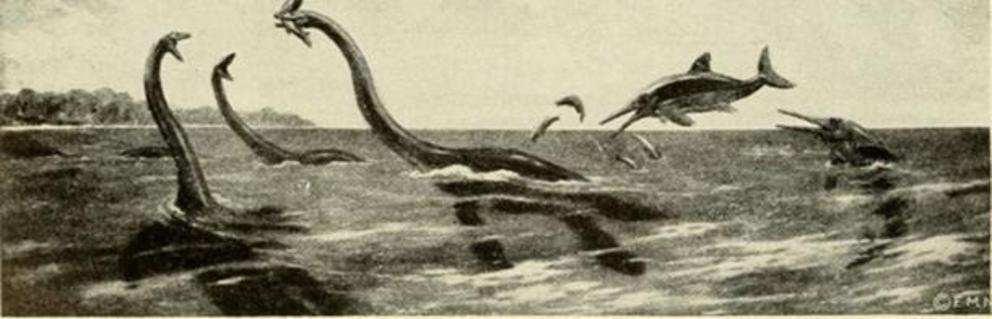 The Loch Ness Monster is described as resembling a Mesozoic marine reptile.