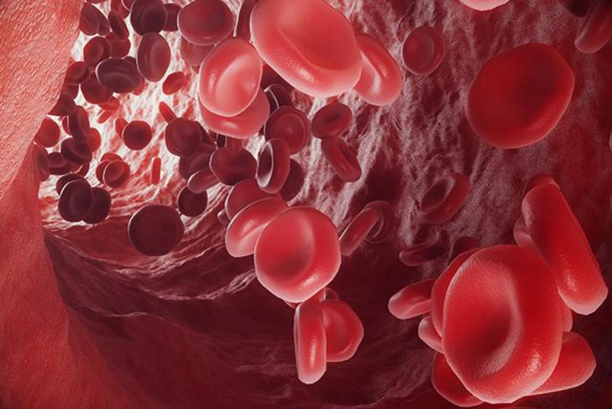 Кровь микро. Клетки крови. Эритроциты. Красные кровяные клетки. Клетка эритроцита.