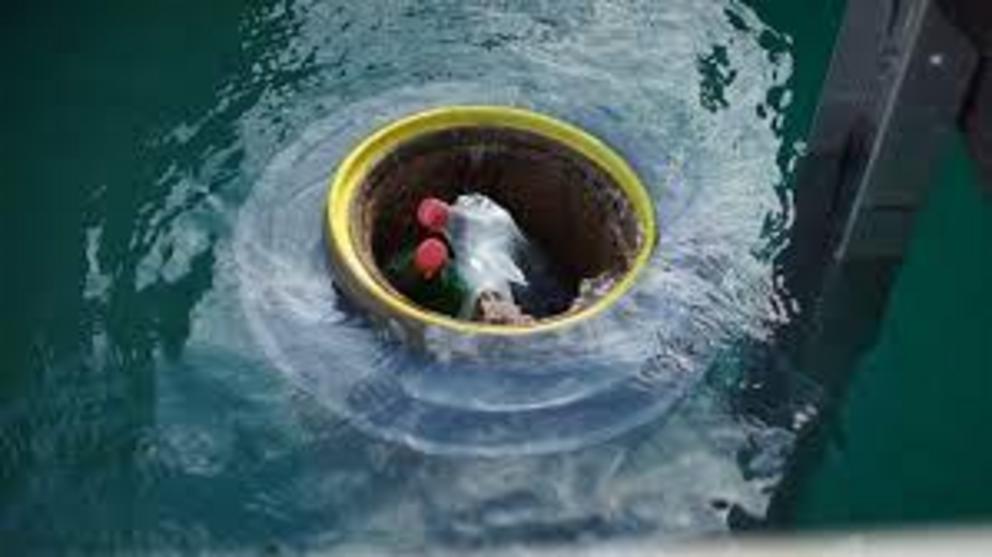 WA's first Seabin was recently installed at the Port Coogee marina. (ABC News)