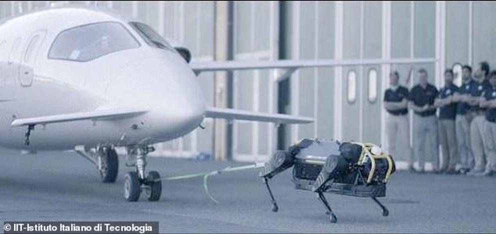 A new video shows off how advanced four-legged droids have become, as a 'HyQReal' robo-dog can be seen dragging an airplane that weighs 3 tons across the Geneva Airport in Italy