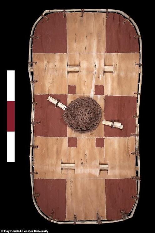 Analysis shows that it was stiffened with wooden straps and has a rim and handle. Shown is a reconstructed shield made by researchers from bark