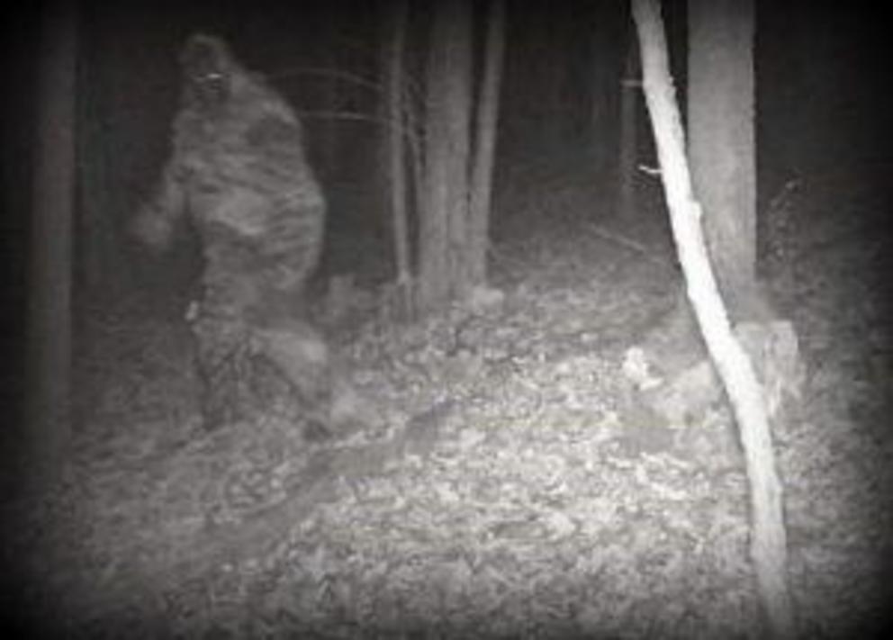 Bigfoot allegedly caught on cam in Fayette County.